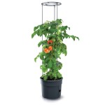 Kvetináč Prosperplast TOMATO GROWER na pestovanie paradajok 29,5 cm antracit
